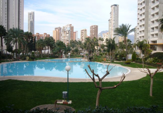 Apartamento en Benidorm - GEMELOS 22 (1 DORMITORIO) Apartamento en Benidorm - GEMELOS 22 (1 DORMITORIO)
