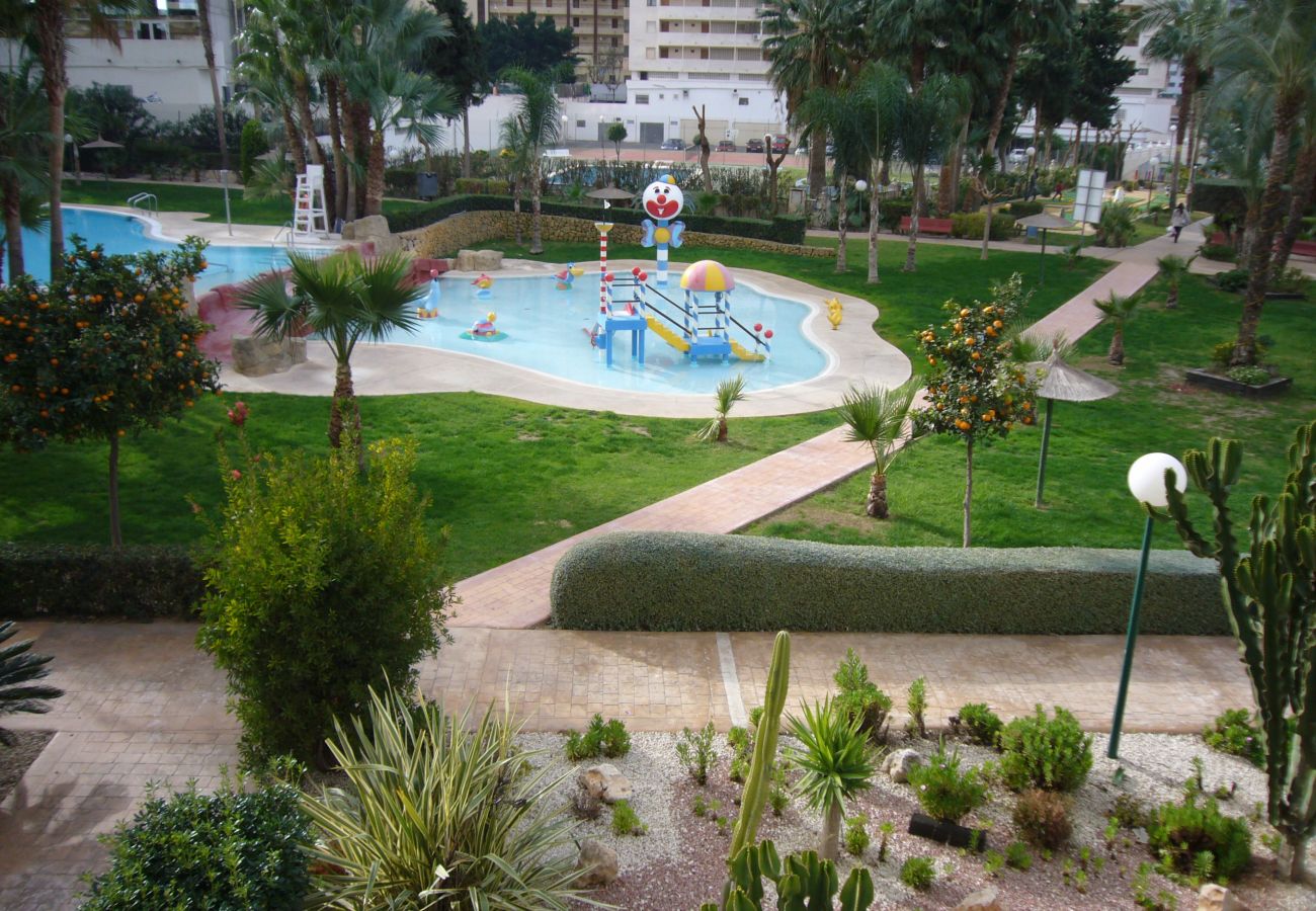 Apartamento en Benidorm - GEMELOS 22 (1 DORMITORIO)