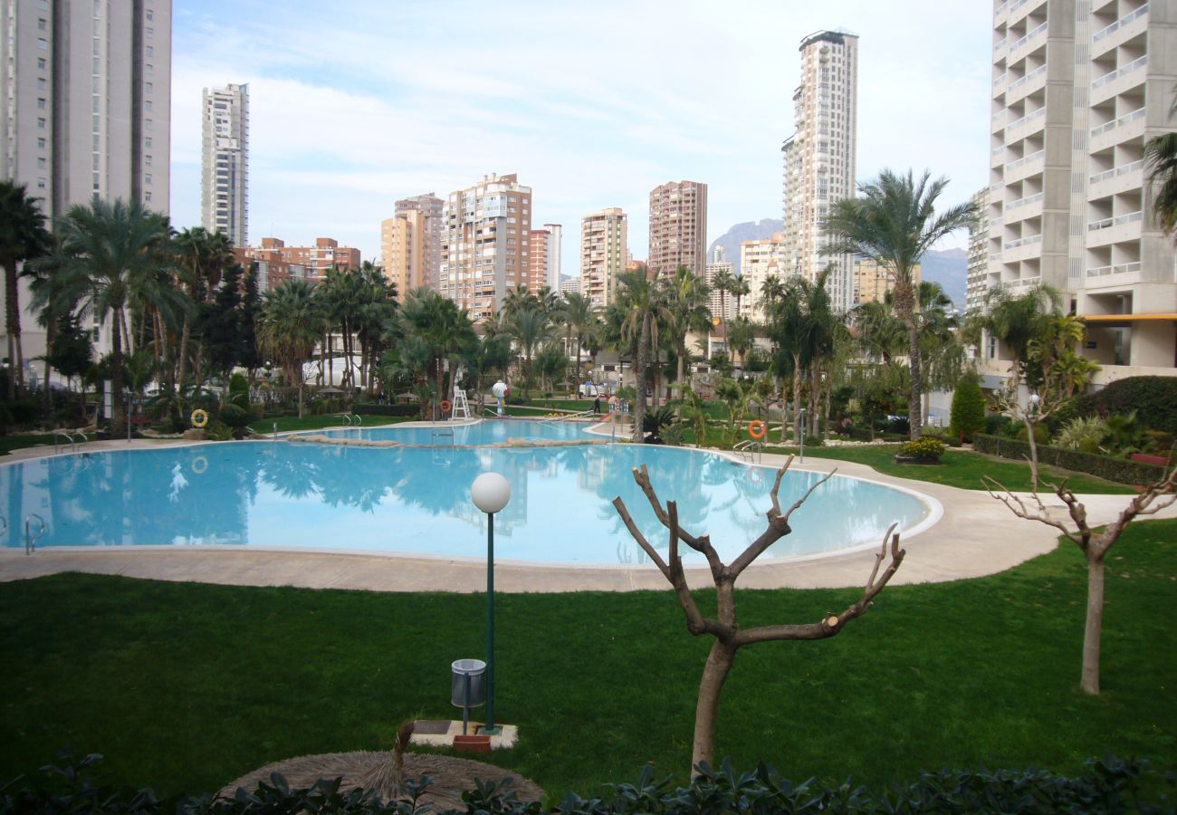 Apartamento en Benidorm - GEMELOS 22 (1 DORMITORIO)