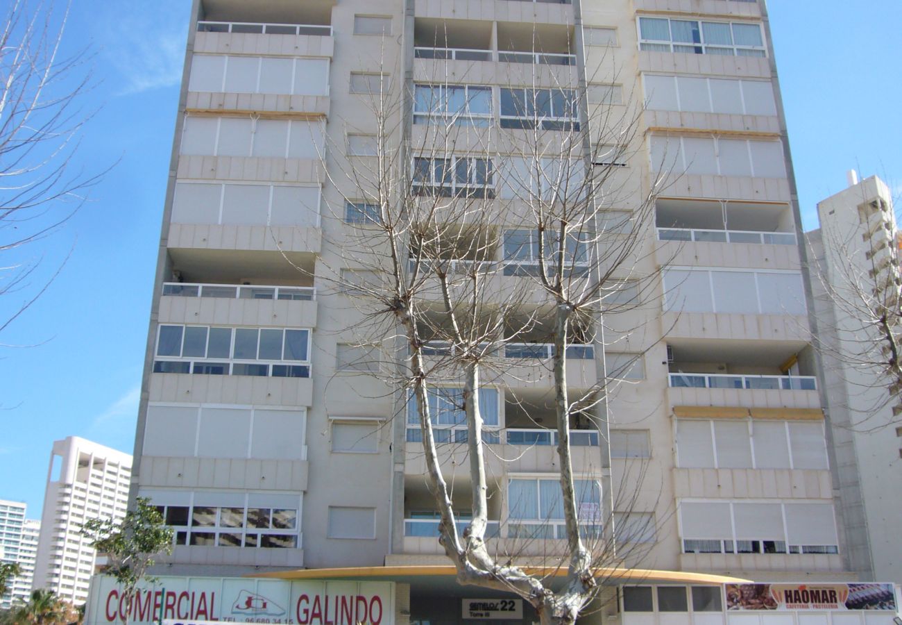 Apartamento en Benidorm - GEMELOS 22 (1 DORMITORIO)