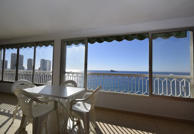 Apartamento en Benidorm - TORRE PRINCIPADO (2 DORMITORIOS) Apartamento en Benidorm - TORRE PRINCIPADO (2 DORMITORIOS)