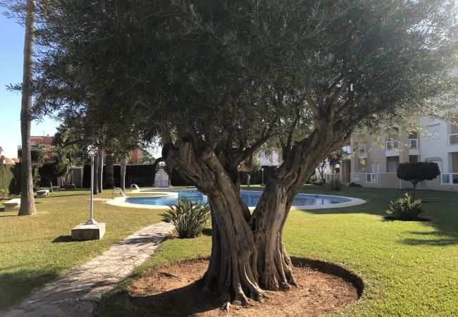 Apartamento en Denia - El Hort comodo apartamento a 300 metros de la playa  Apartamento en Denia - El Hort comodo apartamento a 300 metros de la playa