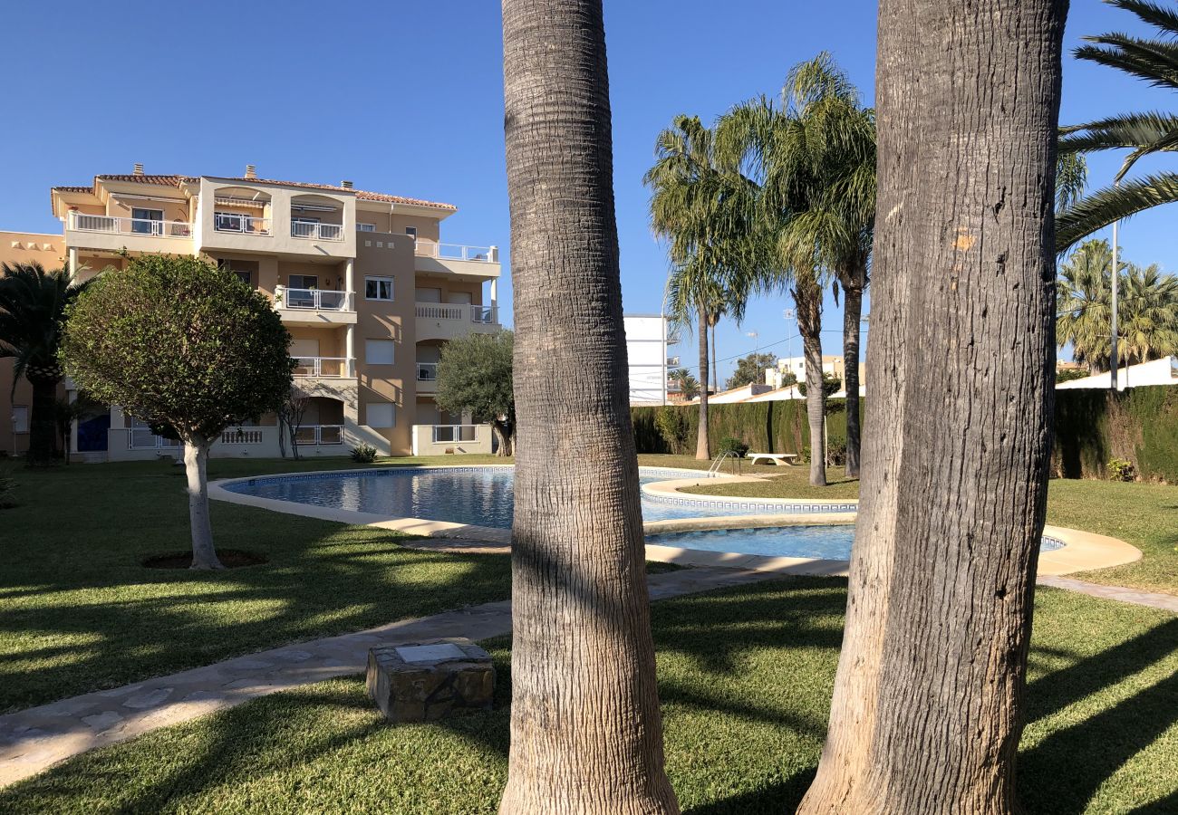 Apartamento en Denia - El Hort comodo apartamento a 300 metros de la playa 