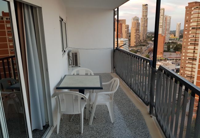 Apartamento en Benidorm - ACACIAS 4 (1 DORMITORIO) Apartamento en Benidorm - ACACIAS 4 (1 DORMITORIO)