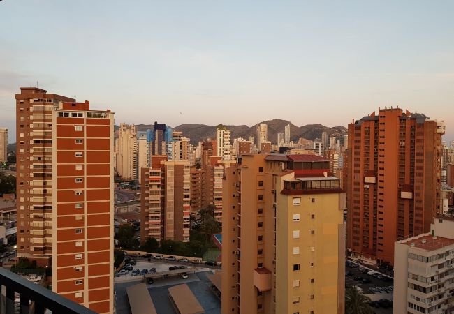 Apartamento en Benidorm - ACACIAS 4 (1 DORMITORIO) Apartamento en Benidorm - ACACIAS 4 (1 DORMITORIO)