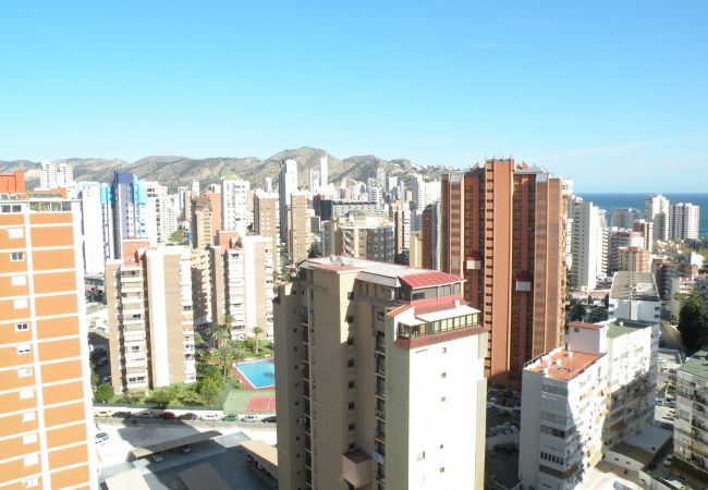 Apartamento en Benidorm - ACACIAS 4 (1 DORMITORIO) Apartamento en Benidorm - ACACIAS 4 (1 DORMITORIO)
