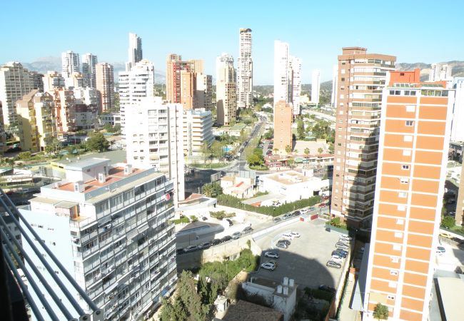 Apartamento en Benidorm - ACACIAS 4 (1 DORMITORIO) Apartamento en Benidorm - ACACIAS 4 (1 DORMITORIO)