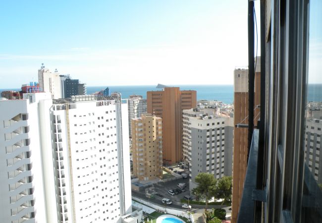 Apartamento en Benidorm - ACACIAS 4 (1 DORMITORIO) Apartamento en Benidorm - ACACIAS 4 (1 DORMITORIO)