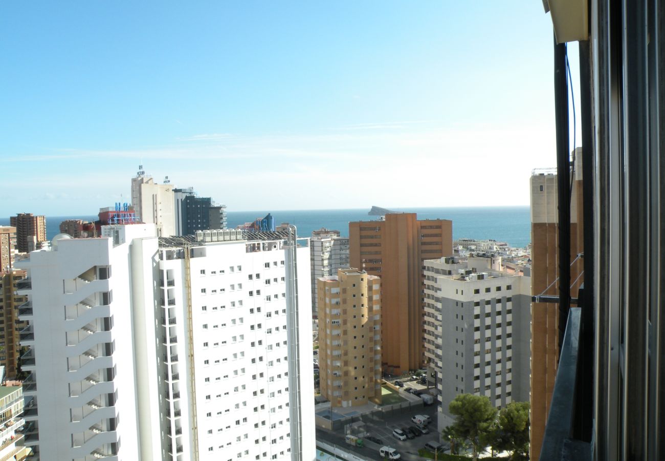 Apartamento en Benidorm - ACACIAS 4 (1 DORMITORIO)