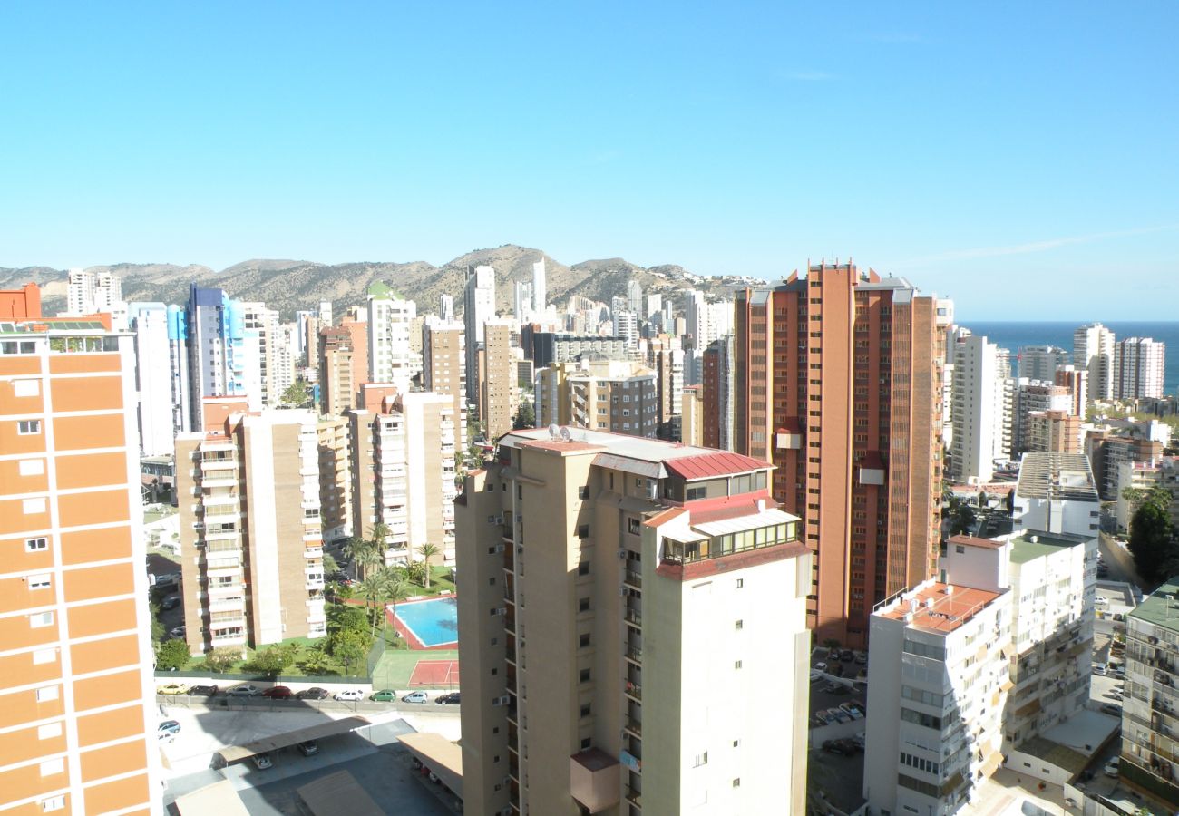 Apartamento en Benidorm - ACACIAS 4 (1 DORMITORIO)