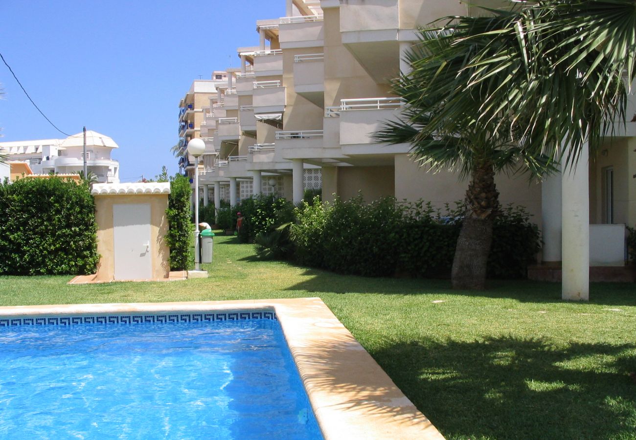 Apartamento en Denia - A 50 metros de la playa de Las Marinas -El Faro