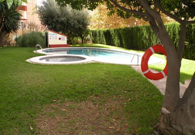 Apartamento en Benidorm - GIJON (1 DORMITORIO) BENIDORM Apartamento en Benidorm - GIJON (1 DORMITORIO) BENIDORM