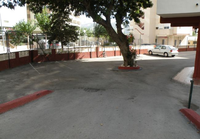 Apartamento en Benidorm - GIJON (1 DORMITORIO) BENIDORM Apartamento en Benidorm - GIJON (1 DORMITORIO) BENIDORM