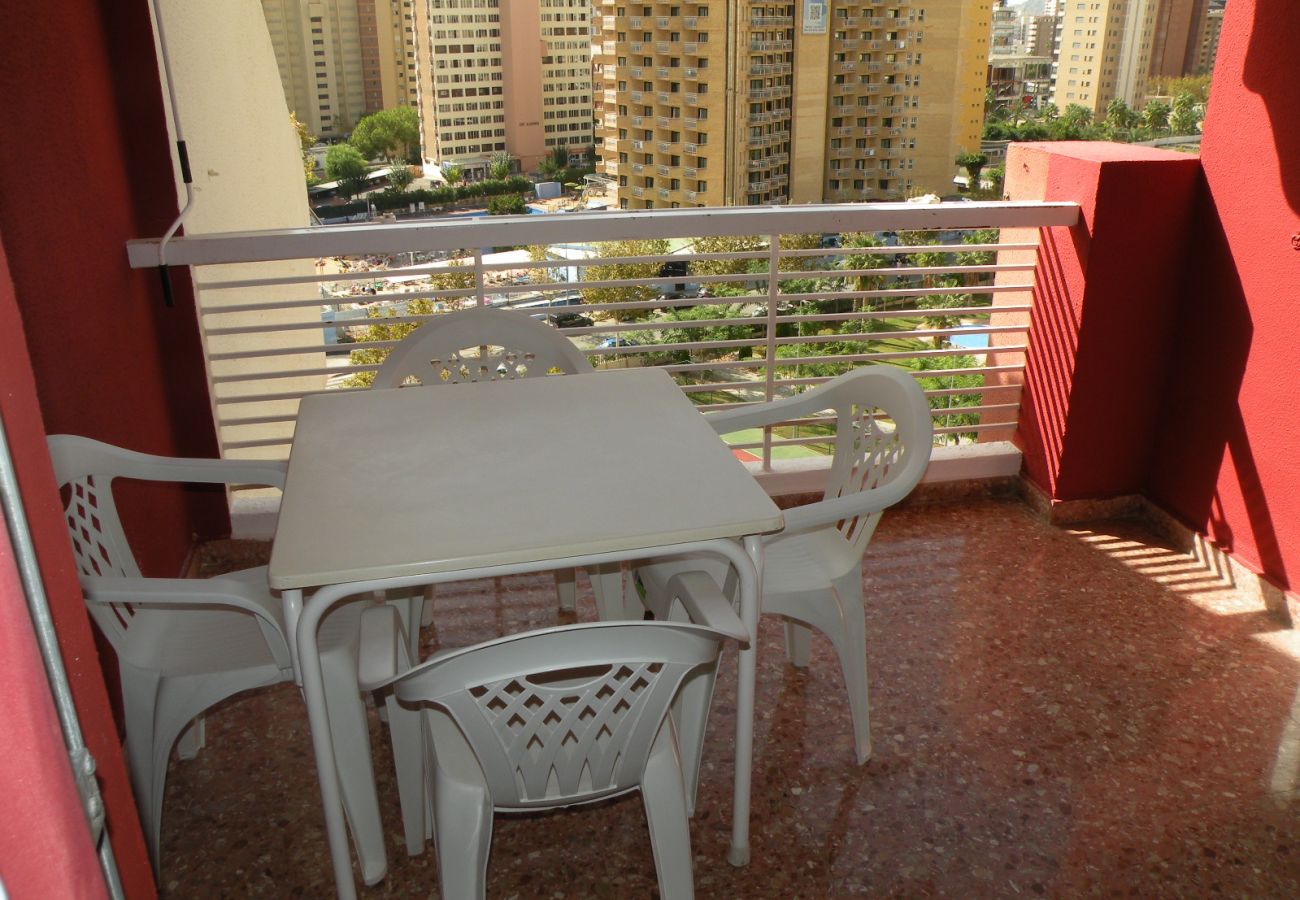 Apartamento en Benidorm - GIJON (1 DORMITORIO) BENIDORM