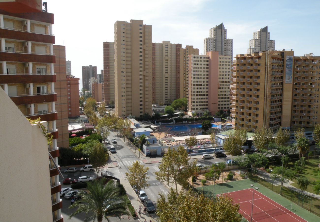 Apartamento en Benidorm - GIJON (1 DORMITORIO) BENIDORM