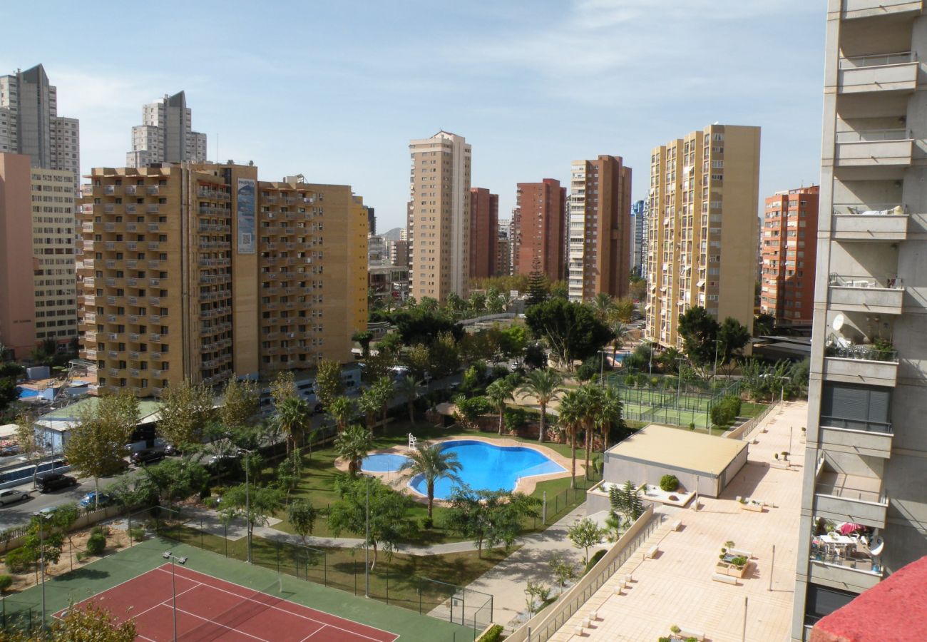 Apartamento en Benidorm - GIJON (1 DORMITORIO) BENIDORM