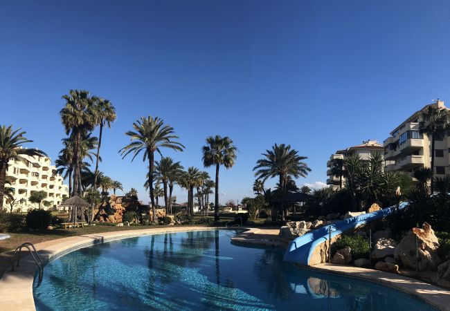 Apartamento en Denia - C-1 Apartamento en Denia - C-1