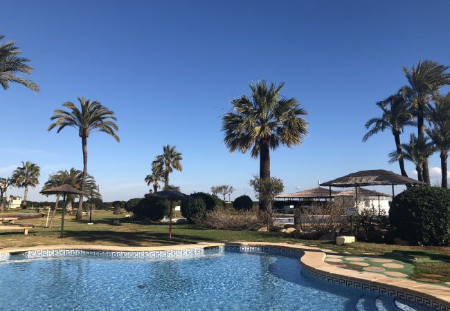 Apartamento en Denia - C-1 Apartamento en Denia - C-1