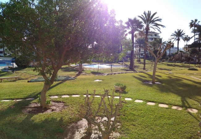 Apartamento en Denia - C-1 Apartamento en Denia - C-1
