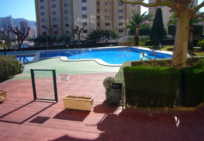 Apartamento en Benidorm - GEMELOS 10 (1 DORMITORIO)