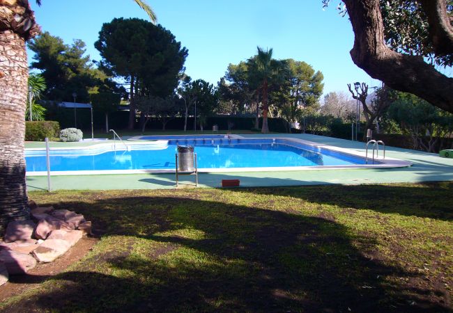 Apartamento en Benidorm - GEMELOS 10 (1 DORMITORIO)