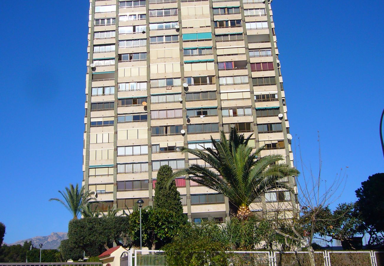Apartamento en Benidorm - GEMELOS 10 (1 DORMITORIO)