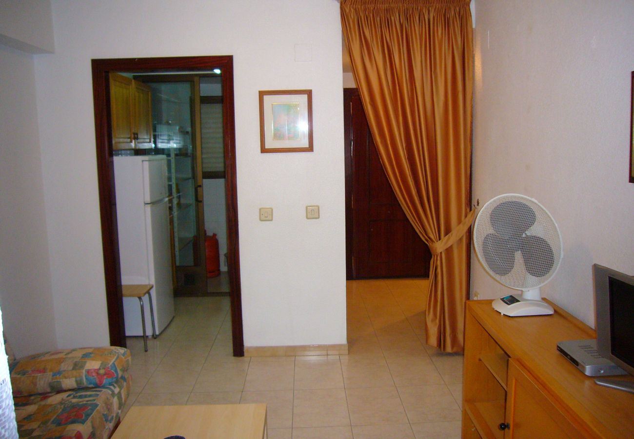 Apartamento en Benidorm - GEMELOS 10 (1 DORMITORIO)