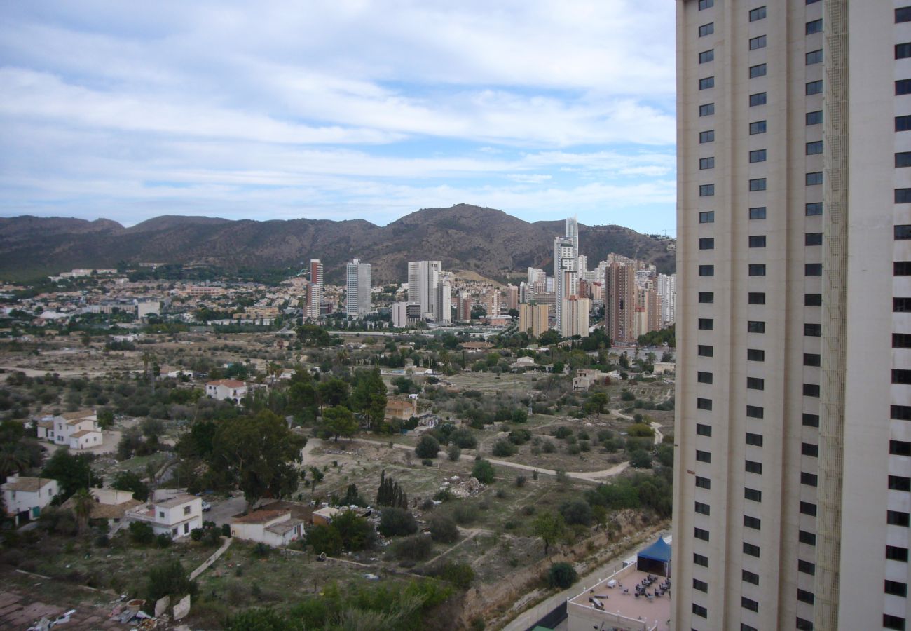 Apartamento en Benidorm - GEMELOS 10 (1 DORMITORIO)