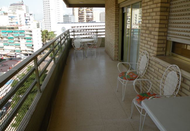 Apartamento en Benidorm - PRINCIPADO CENTRO (4 DORMITORIOS) Apartamento en Benidorm - PRINCIPADO CENTRO (4 DORMITORIOS)