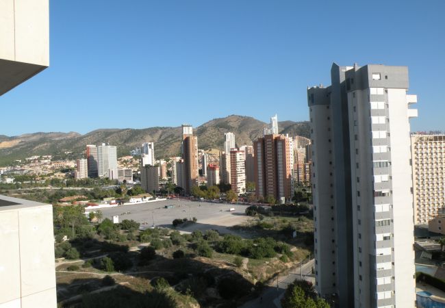 Apartamento en Benidorm - KENNEDY 1 (2 DORMITORIOS) Apartamento en Benidorm - KENNEDY 1 (2 DORMITORIOS)
