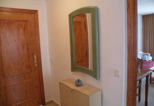 Apartamento en Benidorm - KENNEDY 1 (2 DORMITORIOS) Apartamento en Benidorm - KENNEDY 1 (2 DORMITORIOS)