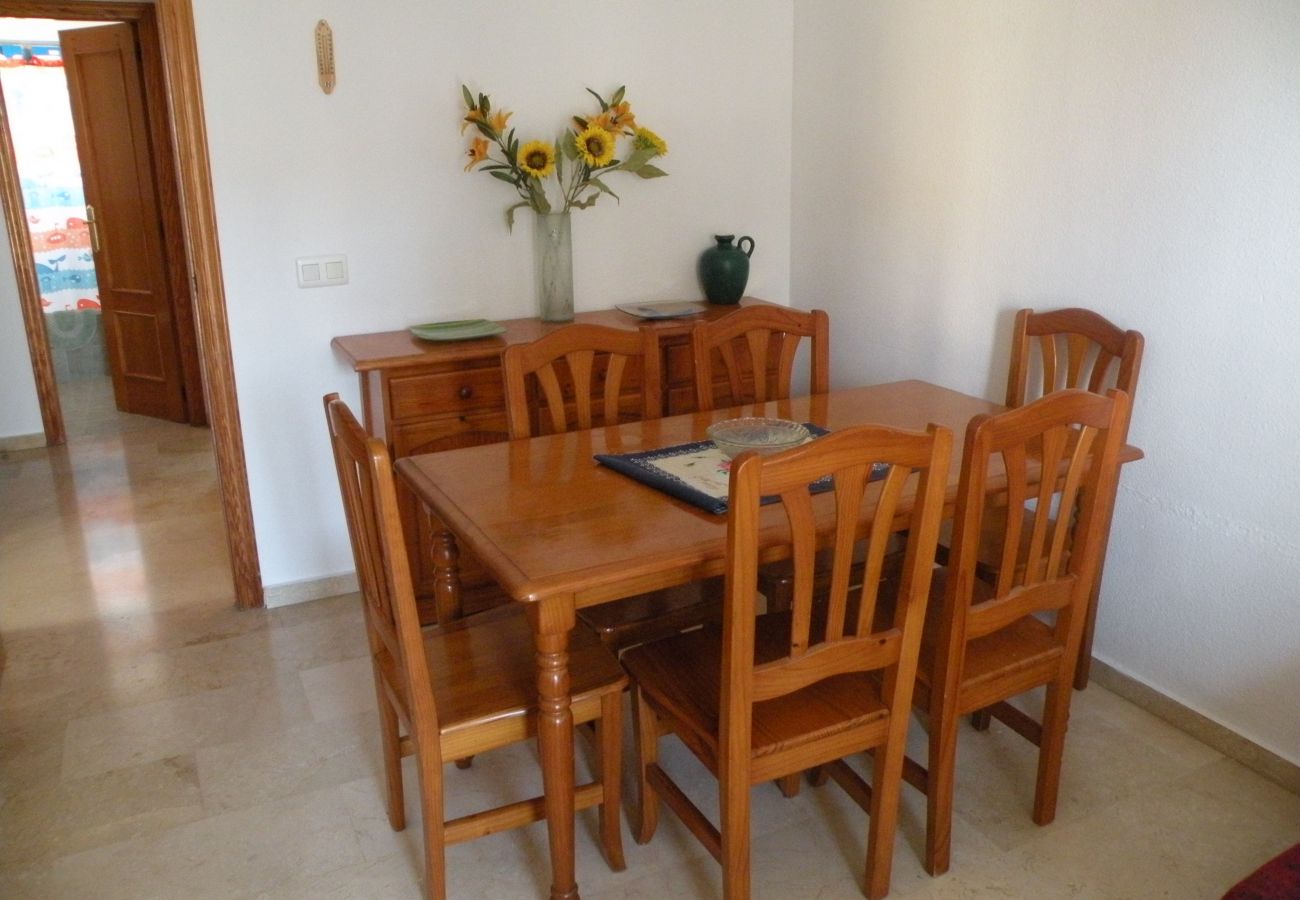 Apartamento en Benidorm - KENNEDY 1 (2 DORMITORIOS)