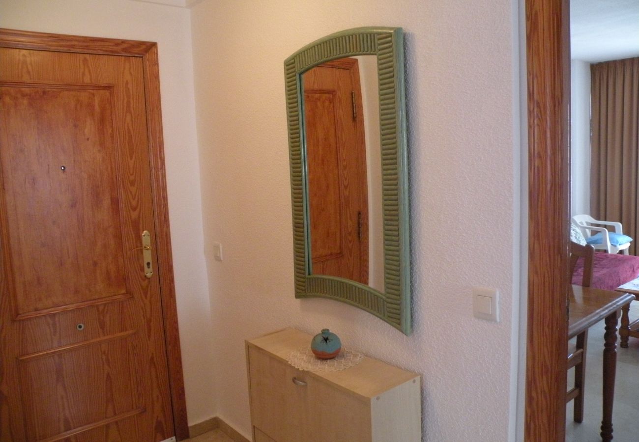 Apartamento en Benidorm - KENNEDY 1 (2 DORMITORIOS)