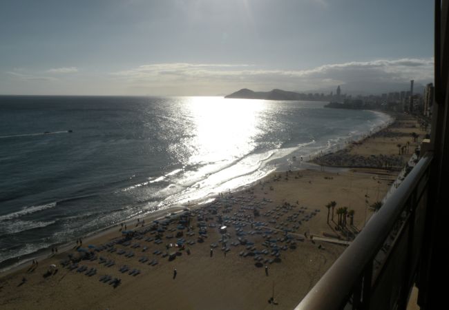 Apartamento en Benidorm - CACHIRULO (1 DORMITORIO) Apartamento en Benidorm - CACHIRULO (1 DORMITORIO)