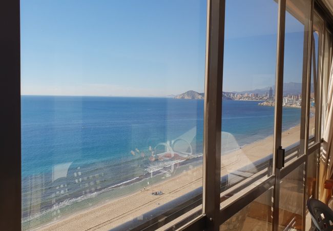 Apartamento en Benidorm - CACHIRULO (1 DORMITORIO) Apartamento en Benidorm - CACHIRULO (1 DORMITORIO)