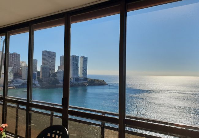 Apartamento en Benidorm - CACHIRULO (1 DORMITORIO) Apartamento en Benidorm - CACHIRULO (1 DORMITORIO)