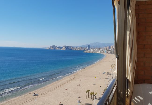 Apartamento en Benidorm - CACHIRULO (1 DORMITORIO) Apartamento en Benidorm - CACHIRULO (1 DORMITORIO)