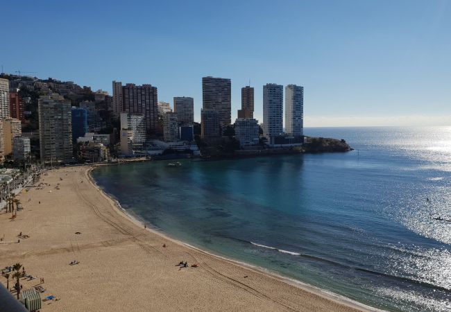 Apartamento en Benidorm - CACHIRULO (1 DORMITORIO) Apartamento en Benidorm - CACHIRULO (1 DORMITORIO)