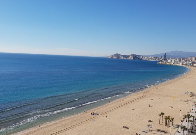 Apartamento en Benidorm - CACHIRULO (1 DORMITORIO) Apartamento en Benidorm - CACHIRULO (1 DORMITORIO)
