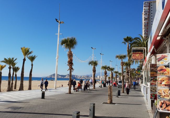 Apartamento en Benidorm - CACHIRULO (1 DORMITORIO) Apartamento en Benidorm - CACHIRULO (1 DORMITORIO)