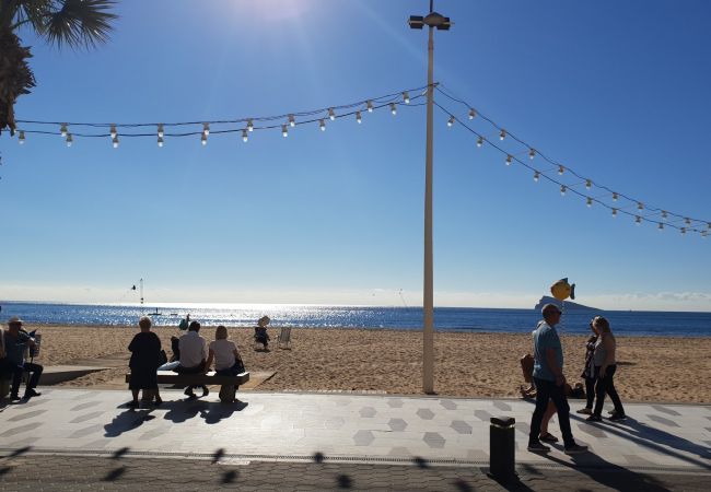 Apartamento en Benidorm - CACHIRULO (1 DORMITORIO) Apartamento en Benidorm - CACHIRULO (1 DORMITORIO)