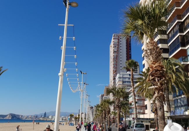 Apartamento en Benidorm - CACHIRULO (1 DORMITORIO) Apartamento en Benidorm - CACHIRULO (1 DORMITORIO)