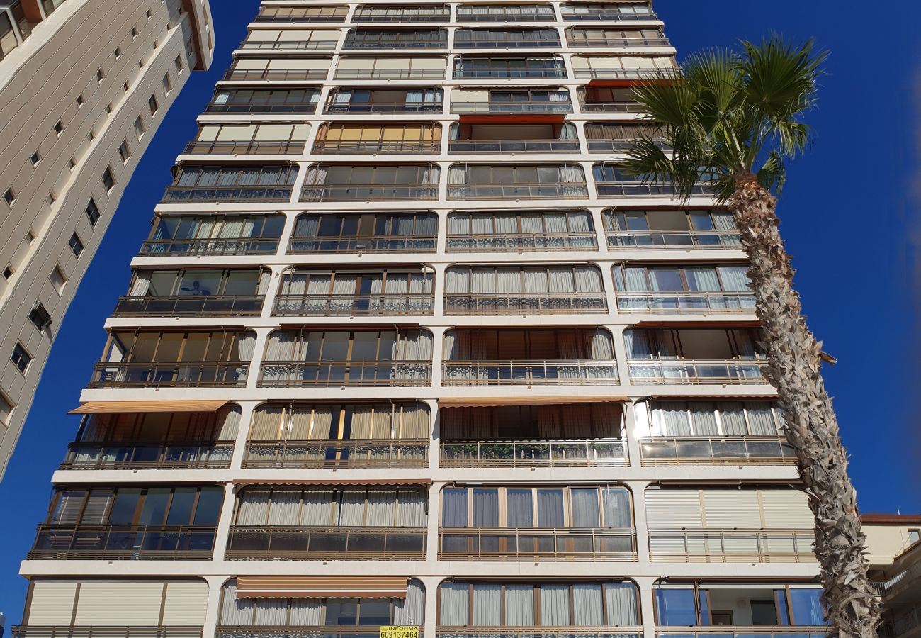 Apartamento en Benidorm - CACHIRULO (1 DORMITORIO)