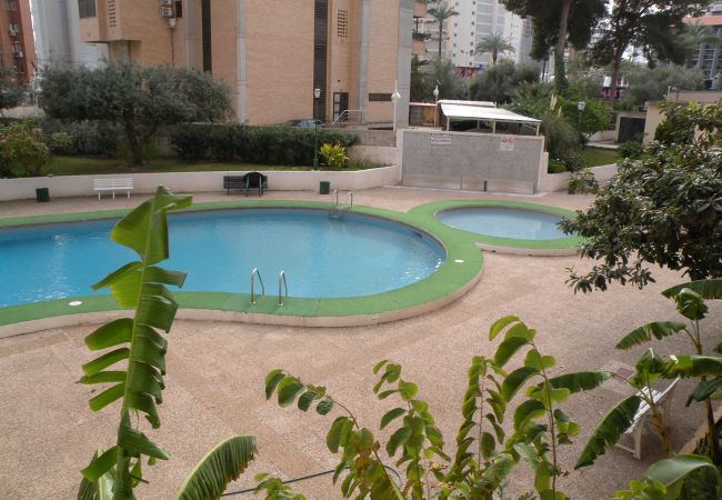 Apartamento en Benidorm - KAROLA (1 DORMITORIO) BENIDORM