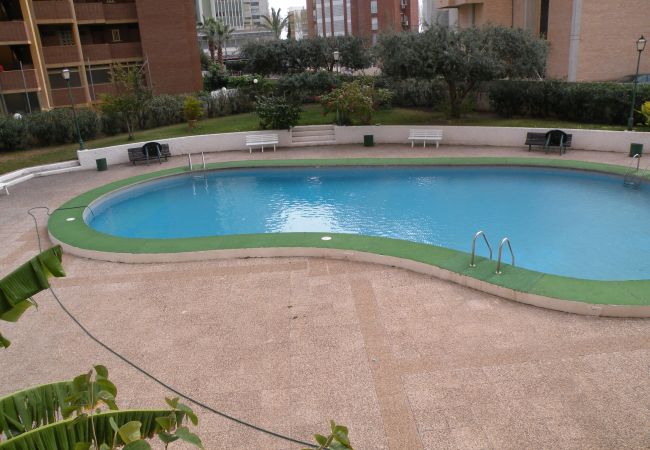 Apartamento en Benidorm - KAROLA (1 DORMITORIO) BENIDORM