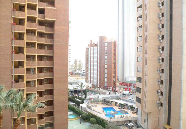 Apartamento en Benidorm - KAROLA (1 DORMITORIO) BENIDORM