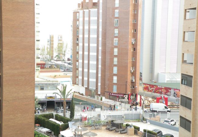 Apartamento en Benidorm - KAROLA (1 DORMITORIO) BENIDORM Apartamento en Benidorm - KAROLA (1 DORMITORIO) BENIDORM