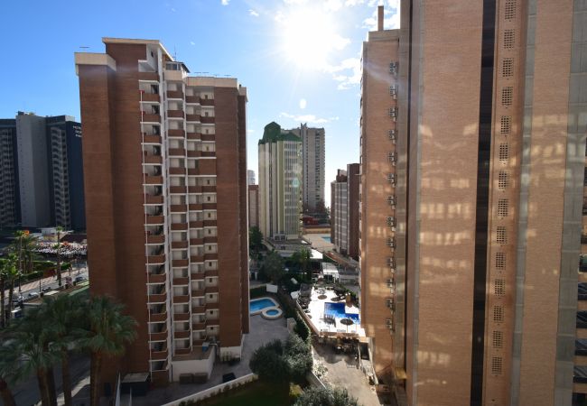Apartamento en Benidorm - KAROLA (1 DORMITORIO) BENIDORM Apartamento en Benidorm - KAROLA (1 DORMITORIO) BENIDORM