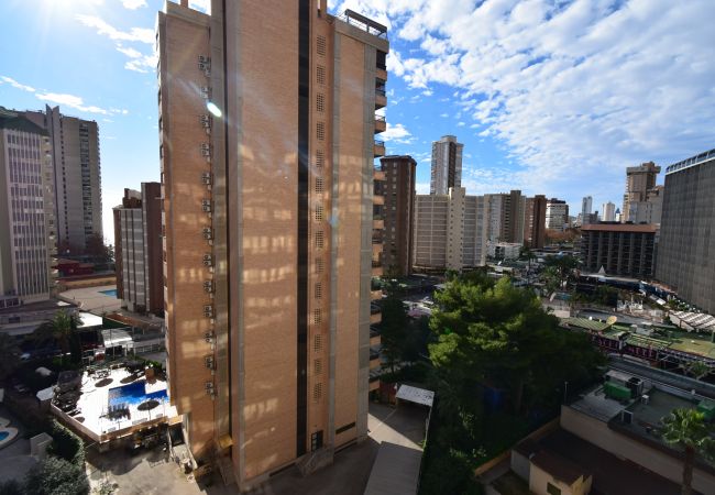 Apartamento en Benidorm - KAROLA (1 DORMITORIO) BENIDORM