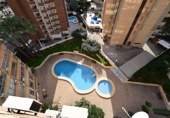 Apartamento en Benidorm - KAROLA (1 DORMITORIO) BENIDORM Apartamento en Benidorm - KAROLA (1 DORMITORIO) BENIDORM